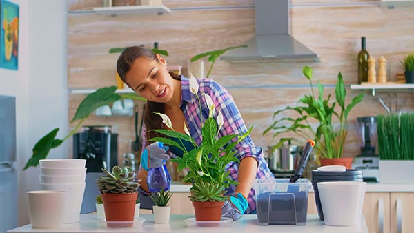 mulher cultivando plantas em casa
